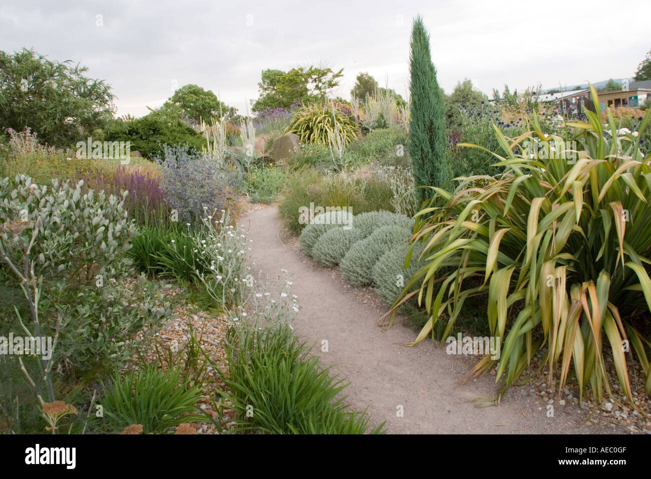 RHS trocknen Garten Hyde Hall Essex UK Stockfoto