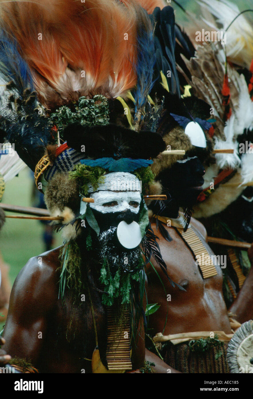 Männer in Sing Sing Tribal sammeln von Mount Hagen-Papua-Neu-Guinea Stockfoto