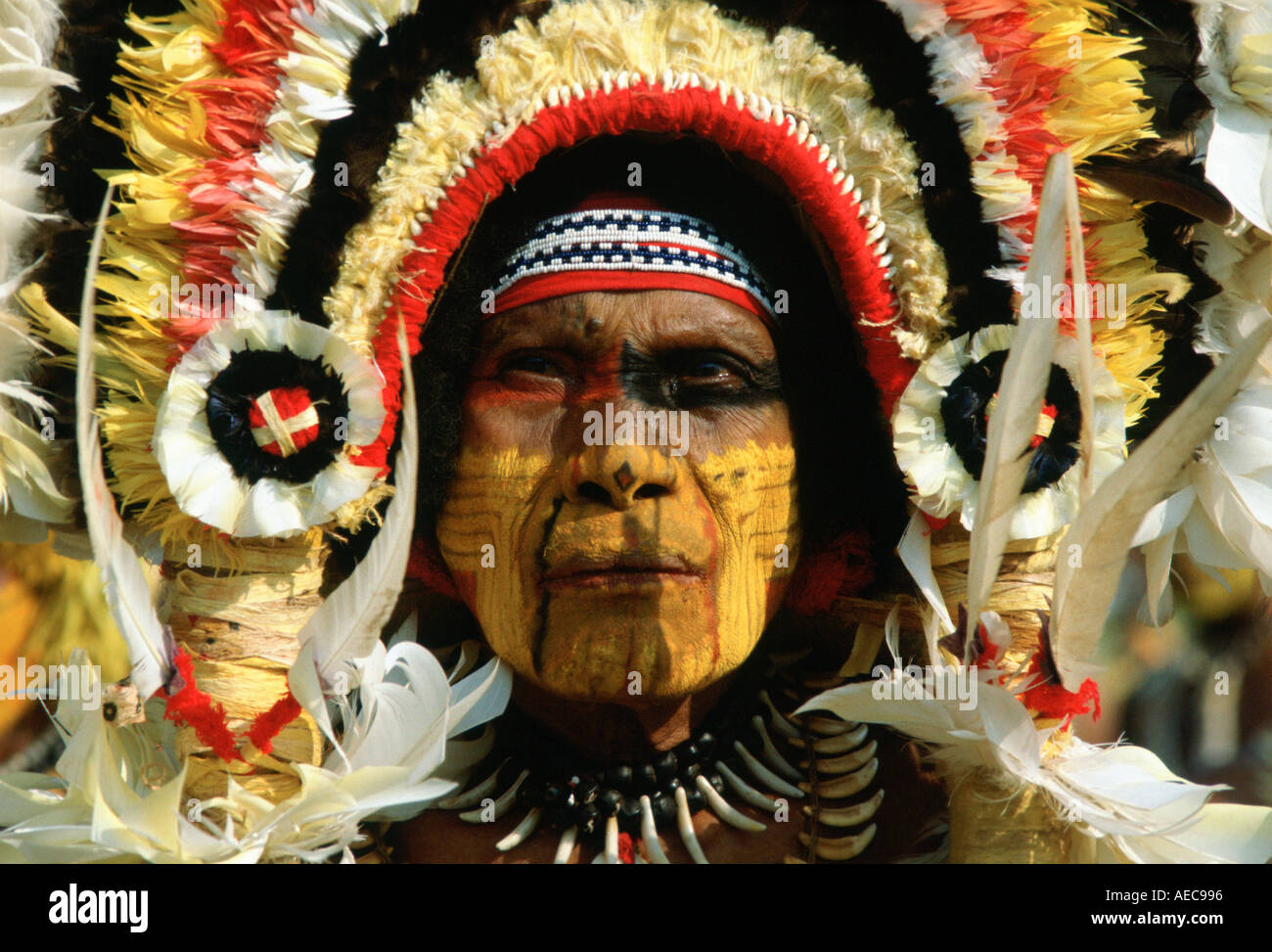 Mann in Sing Sing Tribal sammeln von Mount Hagen-Papua-Neu-Guinea Stockfoto