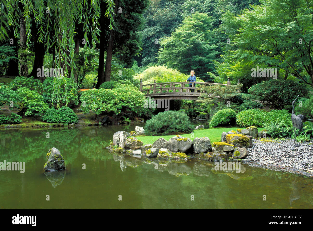 Elk255 1794 Oregon Portland Japanese Garden Stockfoto