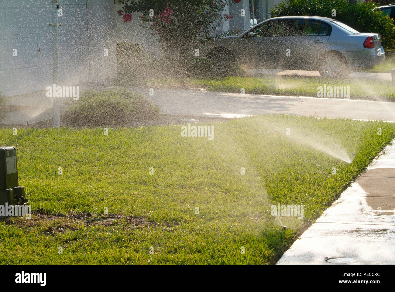 Sprinkler sprühen Bewässerung Wasser H2O Stockfoto