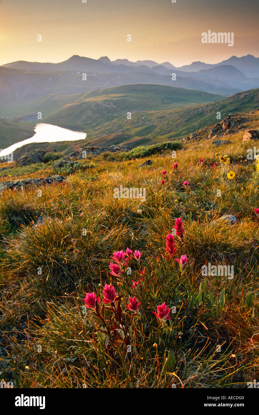 Highland Mary Seen Gebiet in der Nähe von Silverton, San-Juan-Gebirge, Weminuche Wilderness, Colorado Stockfoto