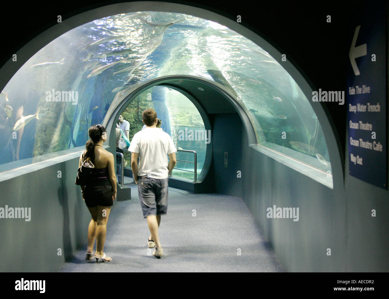 Besucher im Melbourne Aquarium, Victoria, Australien. Stockfoto