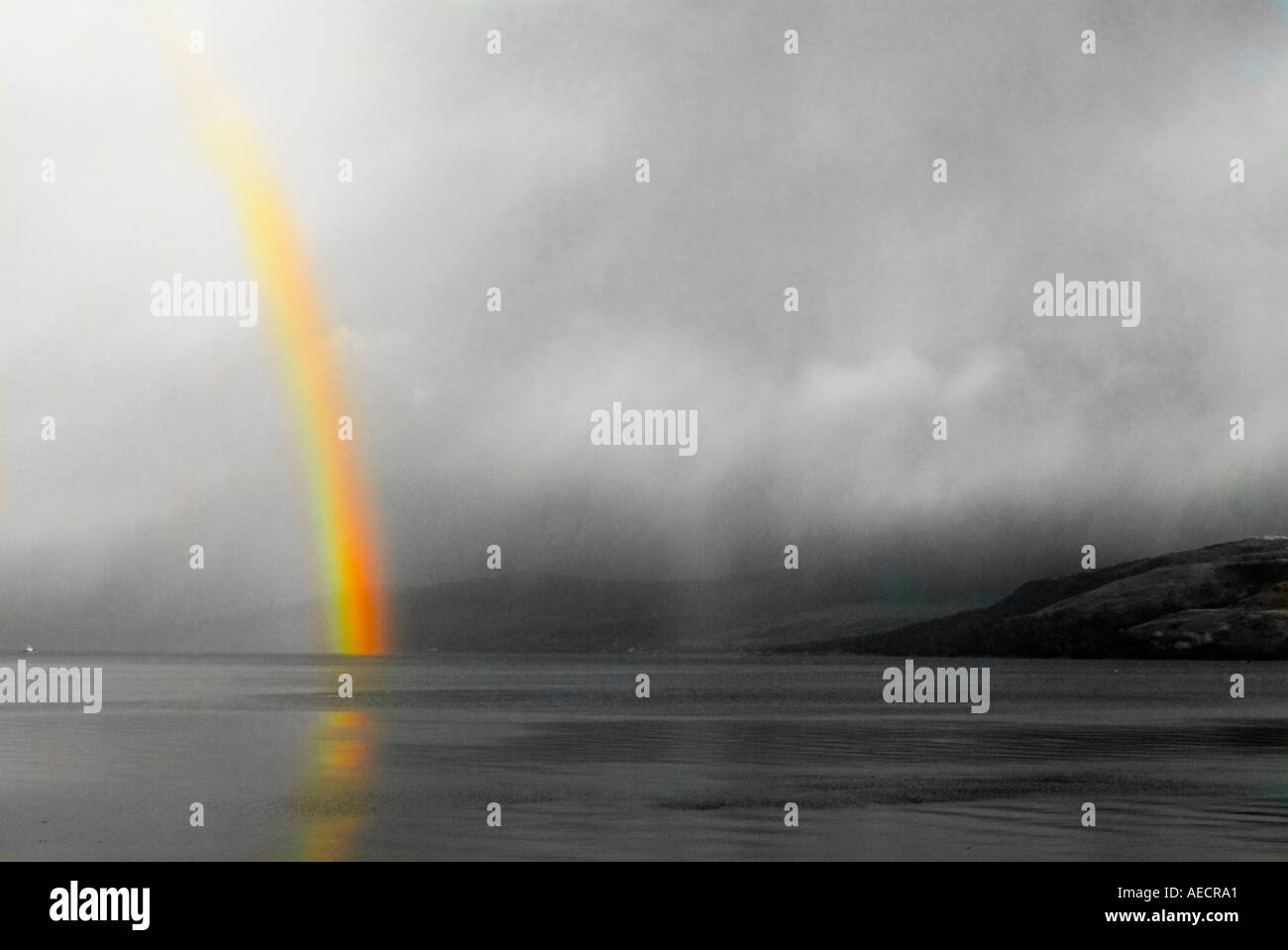 schwarz / weiß Bild mit der Farbe des Regenbogens verbleibende Stockfoto