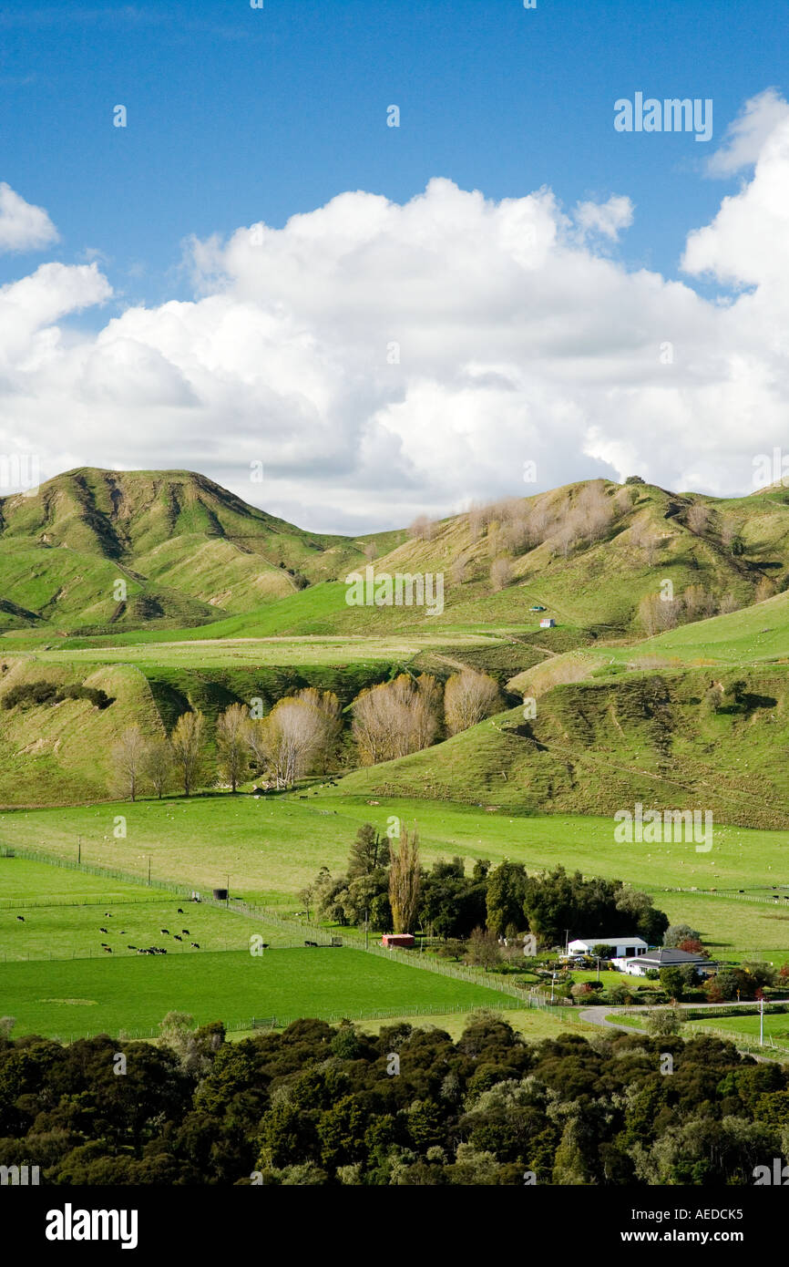 Ackerland in der Nähe von Mangaweka Hochland Nordinsel Neuseeland Stockfoto