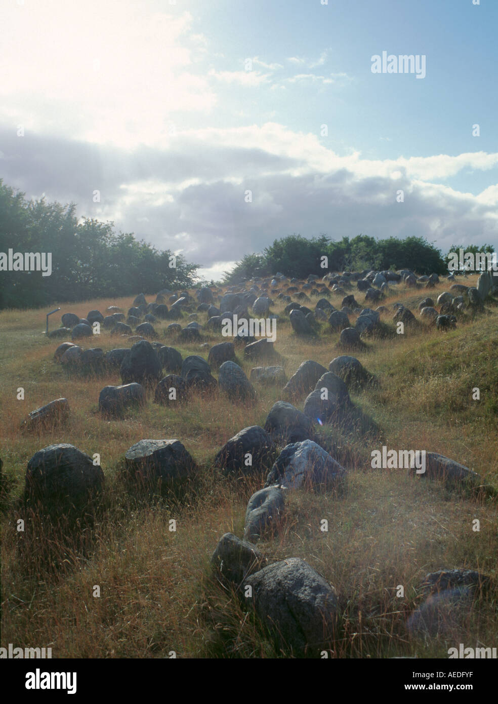 Lindholm Høje Viking Gräberfeld nördlich von Ålborg, Djursland, Jylland (Jütland), Dänemark. Stockfoto