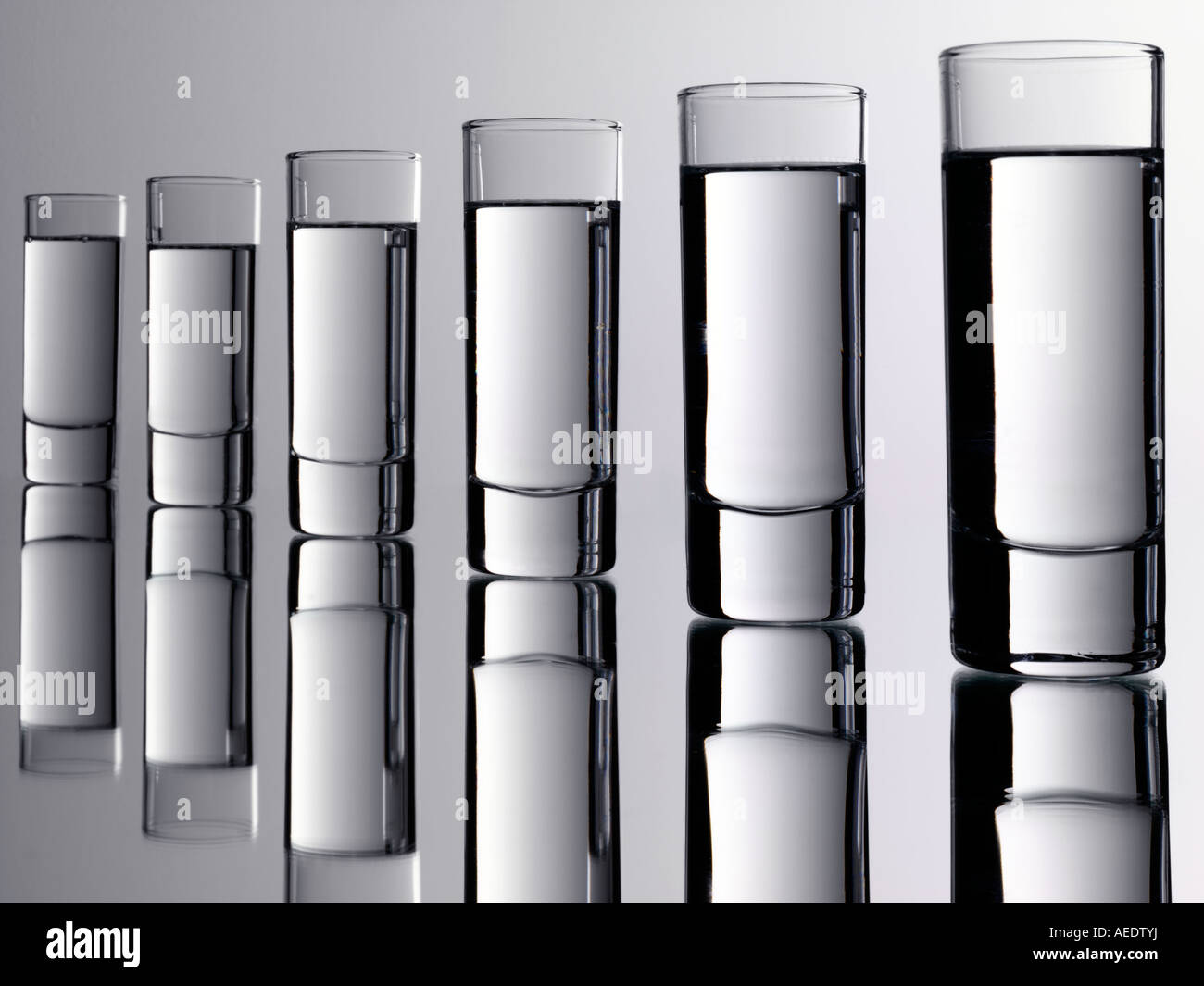 JAPANISCHE SAKI Stockfoto