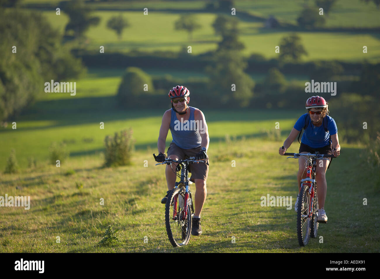Mann Frau auf dem Mountainbike Radfahren auf Hambledon Hill über die Blackmore Vale Dorset England UK Stockfoto