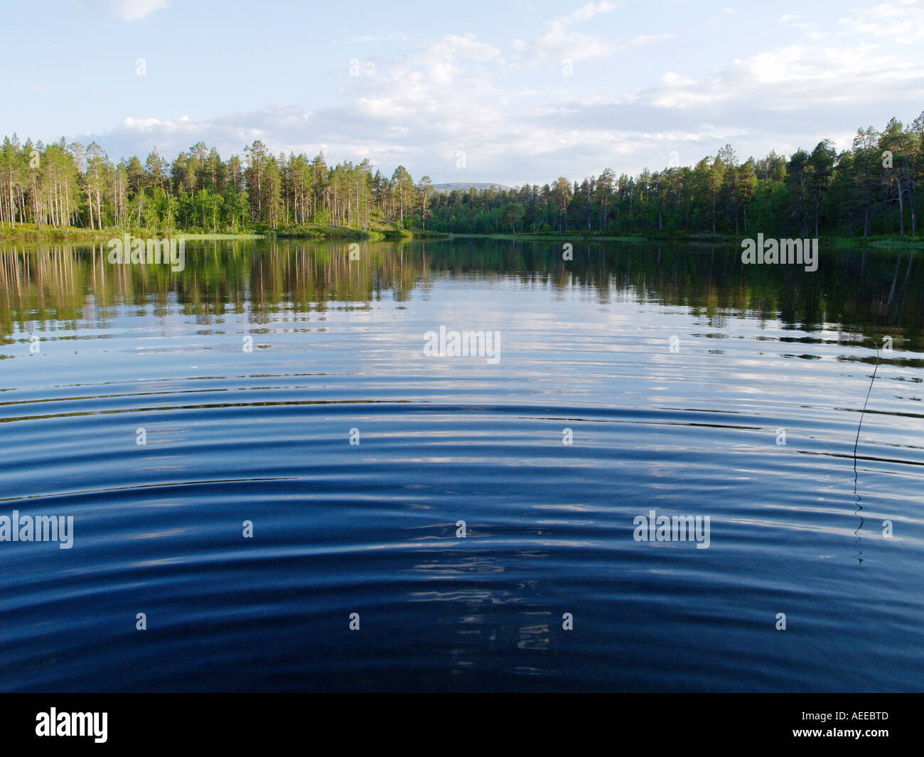 Lemmenjoki-Nationalpark Stockfoto