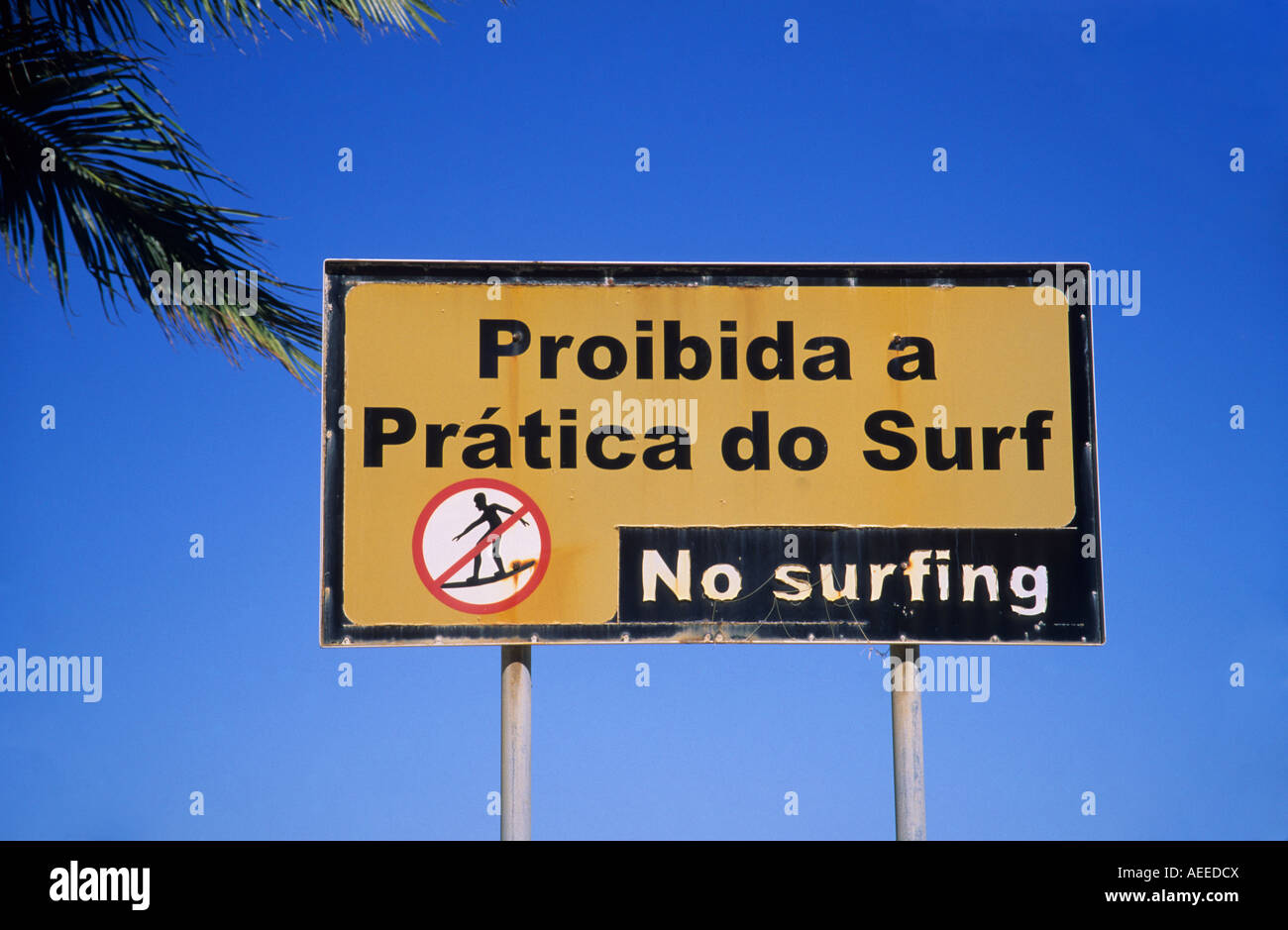 Zweisprachig Portugiesisch Englisch melden Sie sagen Nein Surfen bei Boa Viagem Strand Recife Pernambuco-Brasilien Stockfoto