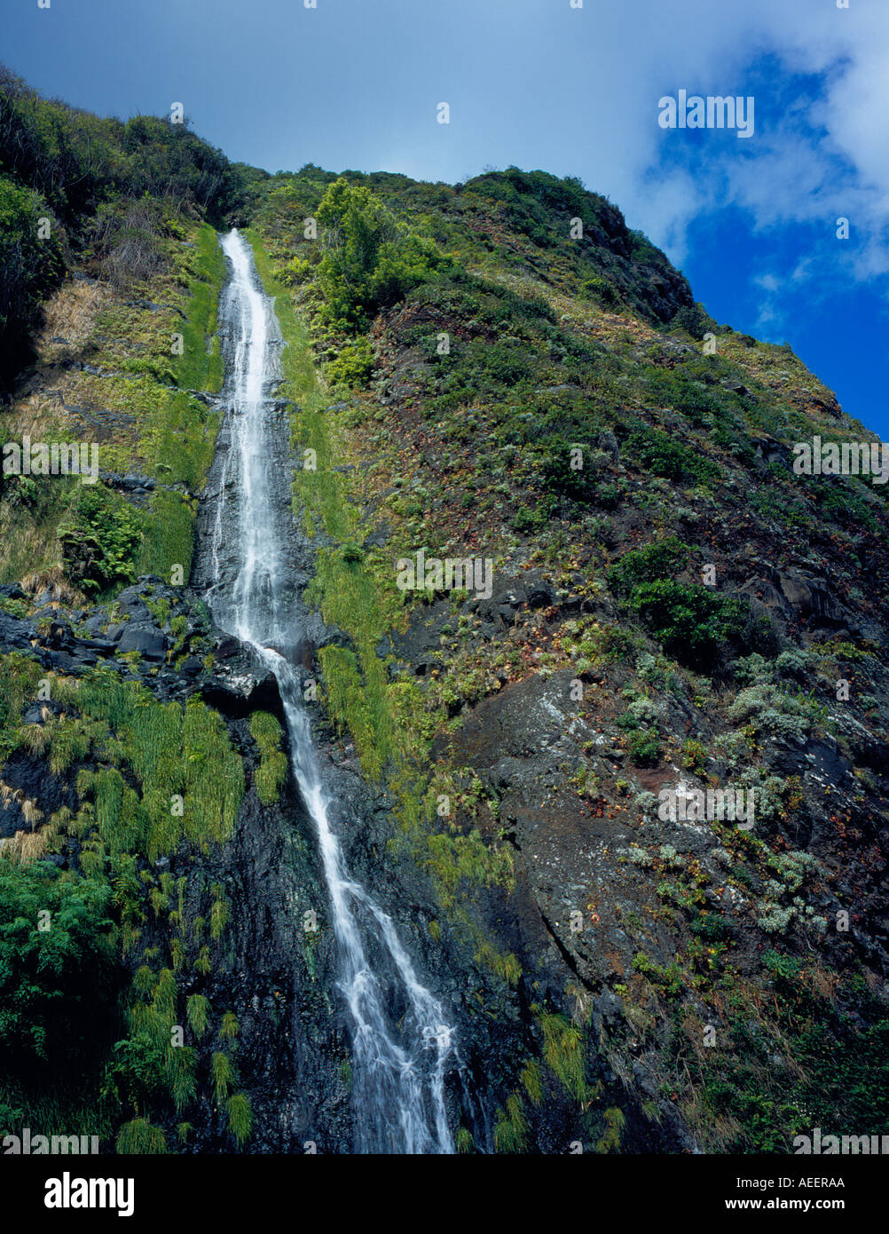 Wasserfall im Norden Küste von Madeira Portugal Europa. Foto: Willy Matheisl Stockfoto