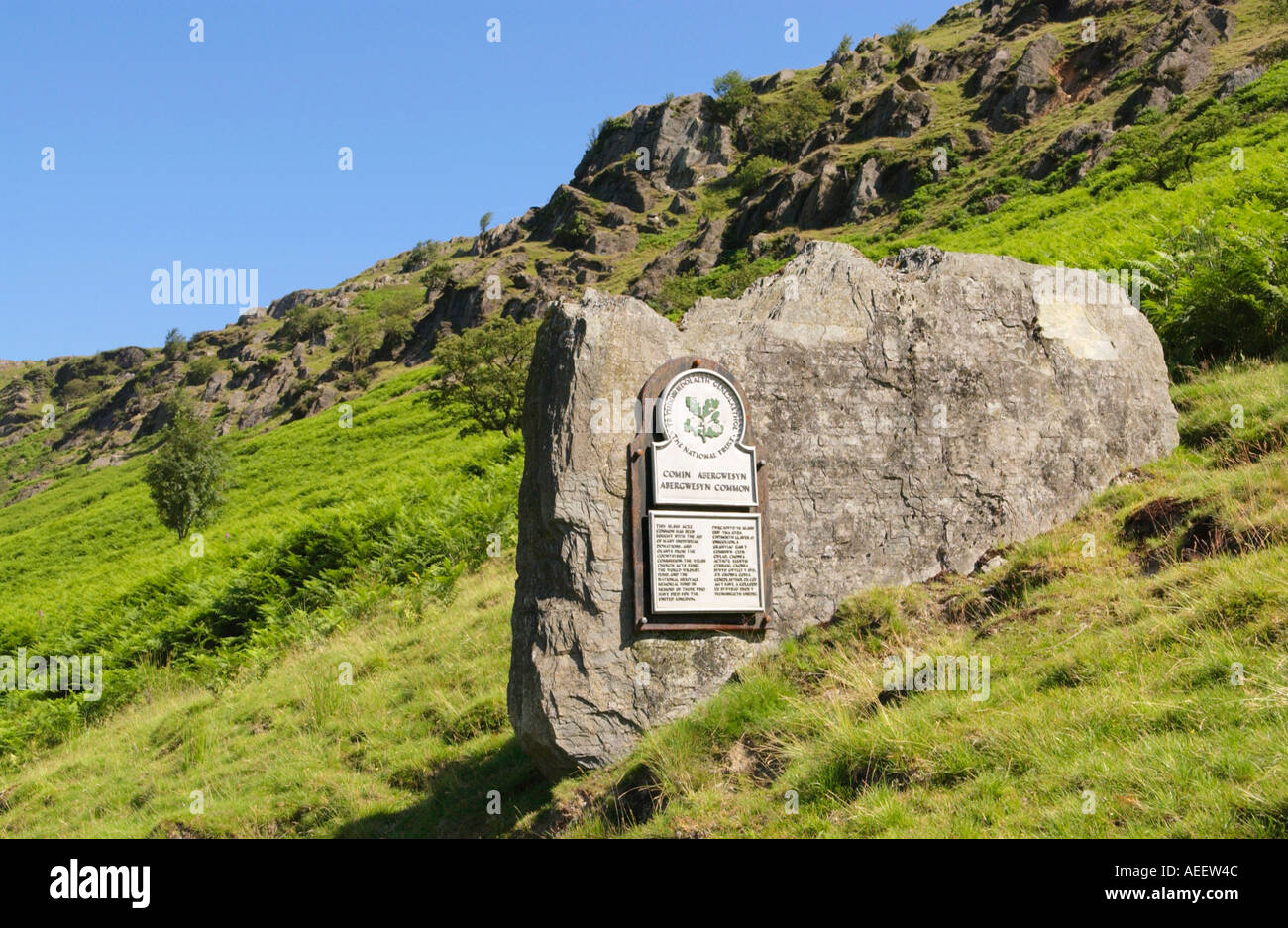 Abergwesyn gemeinsamen einem abgelegenen Tal in Mid Wales Powys UK EU im Besitz des National Trust Stockfoto
