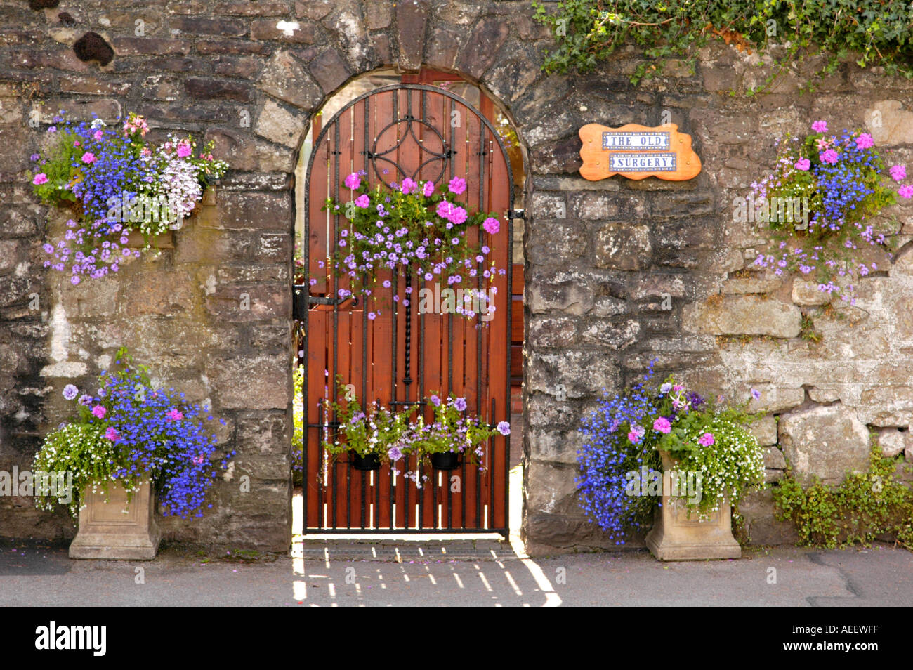 Blütenpracht außerhalb Gartentor des Hauses in der Stadt Usk konkurriert jährlich in Wales und England in Bloom Wettbewerbe Stockfoto