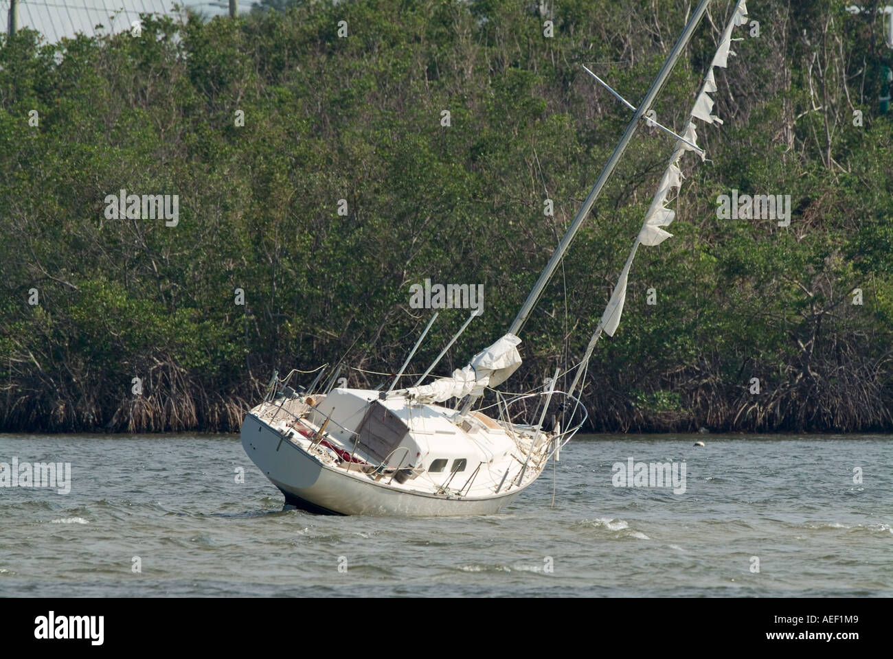 auf Grund gestrandeter Lauf angespült Segelboot Hurrikan Schaden Verlust des Immobilienvermögens versenkt Schiffbruch beschädigt Stockfoto