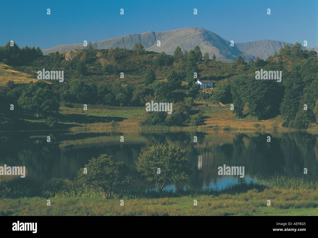 Loughrigg Tarn in der Nähe von Ambleside, Nationalpark Lake District, Cumbria UK Stockfoto