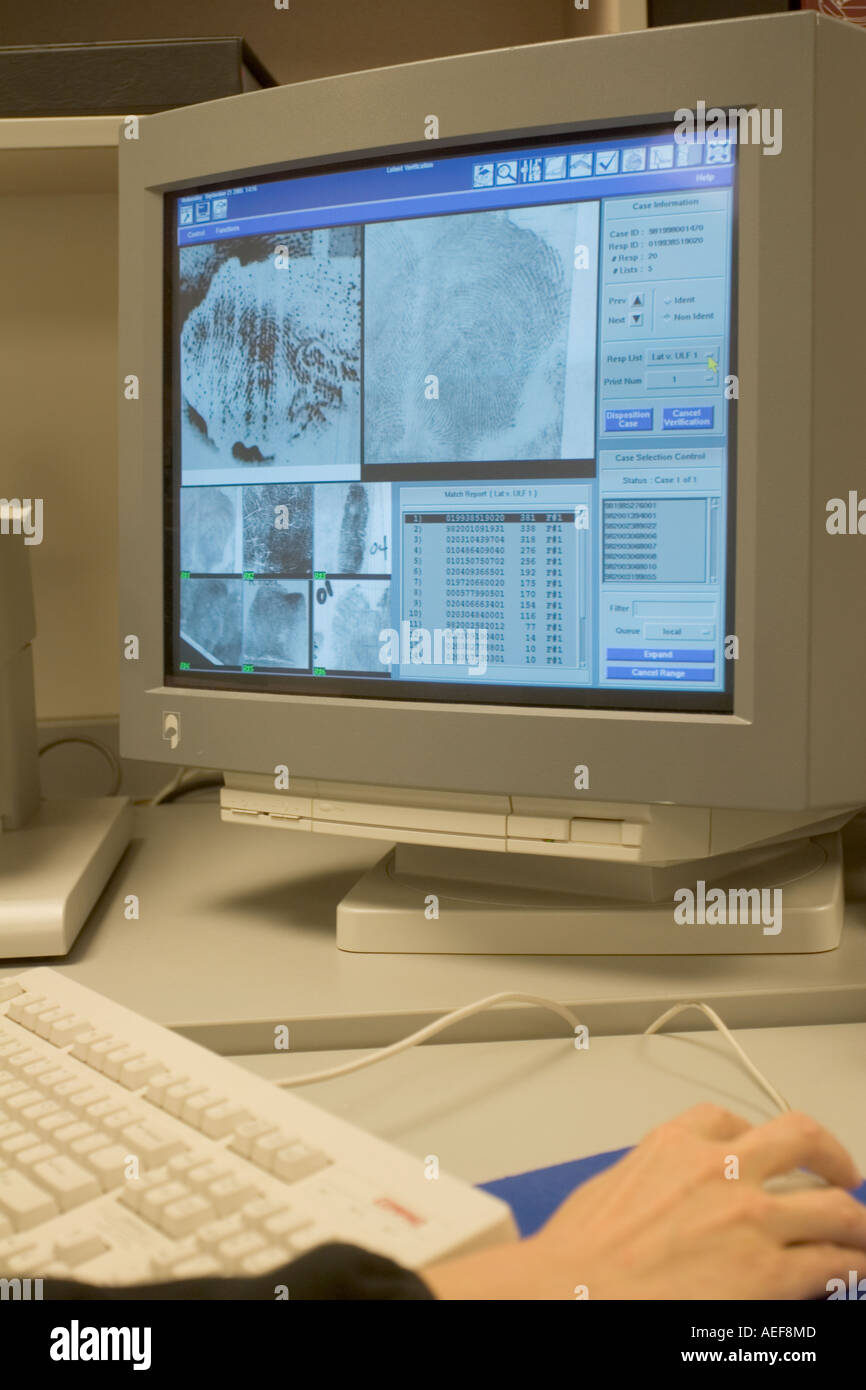 Forensischen Experten, die Verwendung der Datenbank AFIS automatisiertes Fingerabdruck-Identifikationssystem Stockfoto