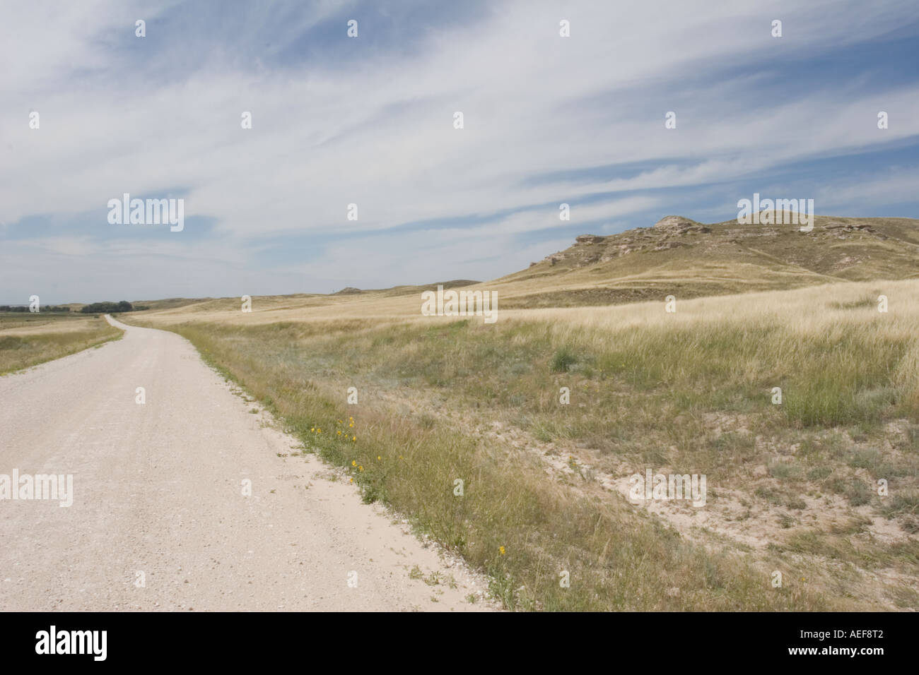Die Sandhills im Nord-westlichen Nebraska. Westen der USA. Stockfoto