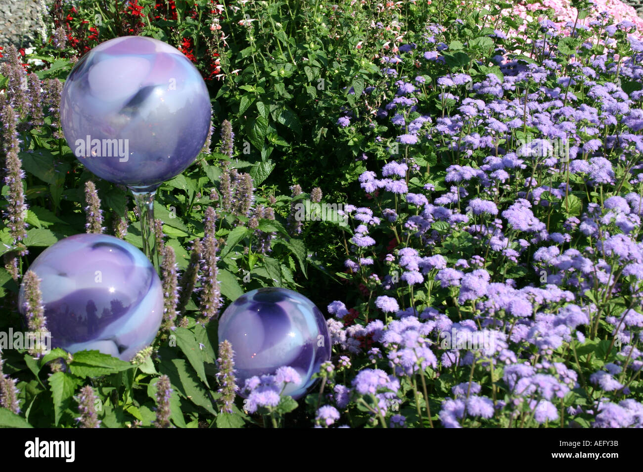 Runde Lila Garten Glaskugeln Buga Munchen Bayern Deutschland