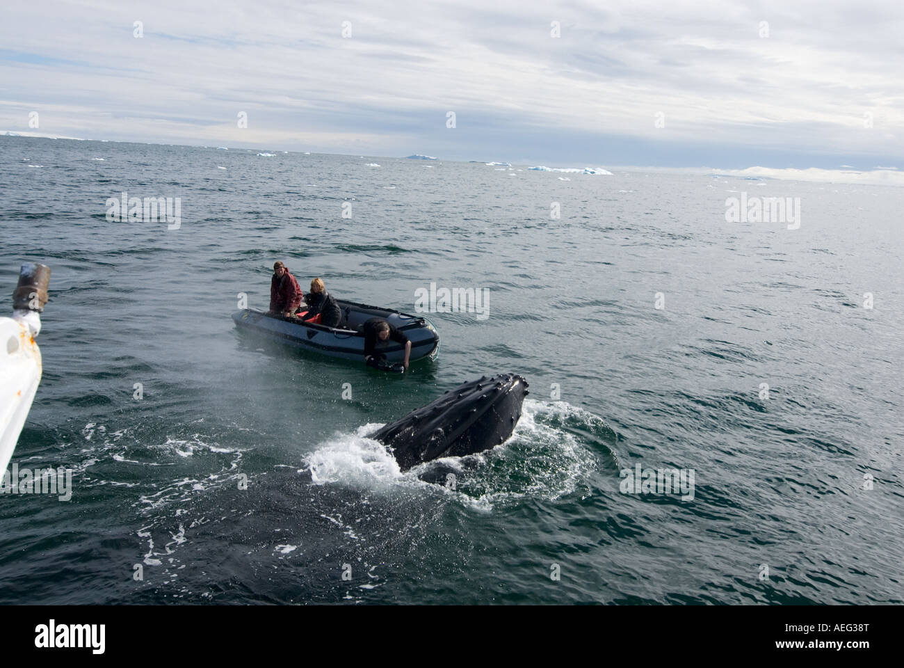 Abenteuer-Reisende beobachten Buckelwale Impressionen Novaeangliae in den Gewässern vor der westlichen Antarktischen Halbinsel-Antarktis Stockfoto