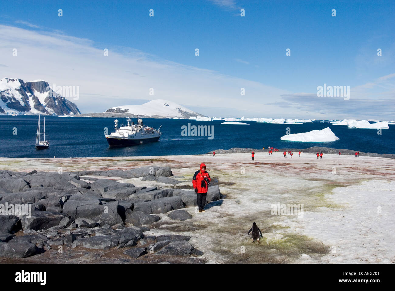 Touristen schauen Sie sich ein Gentoo-Pinguin Pygoscelis Papua Kolonie auf Stand Insel Port Charcot westlichen Antarktischen Halbinsel Antarktis Stockfoto