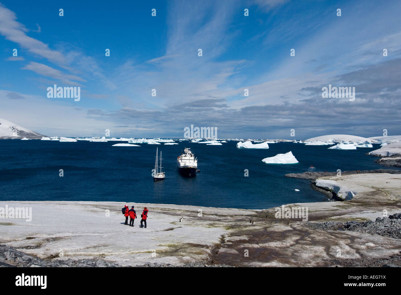 Touristen-Kopf zurück auf einem Kreuzfahrtschiff nach dem Auschecken einer Gentoo-Pinguin-Kolonie entlang der westlichen Antarktischen Halbinsel Stockfoto