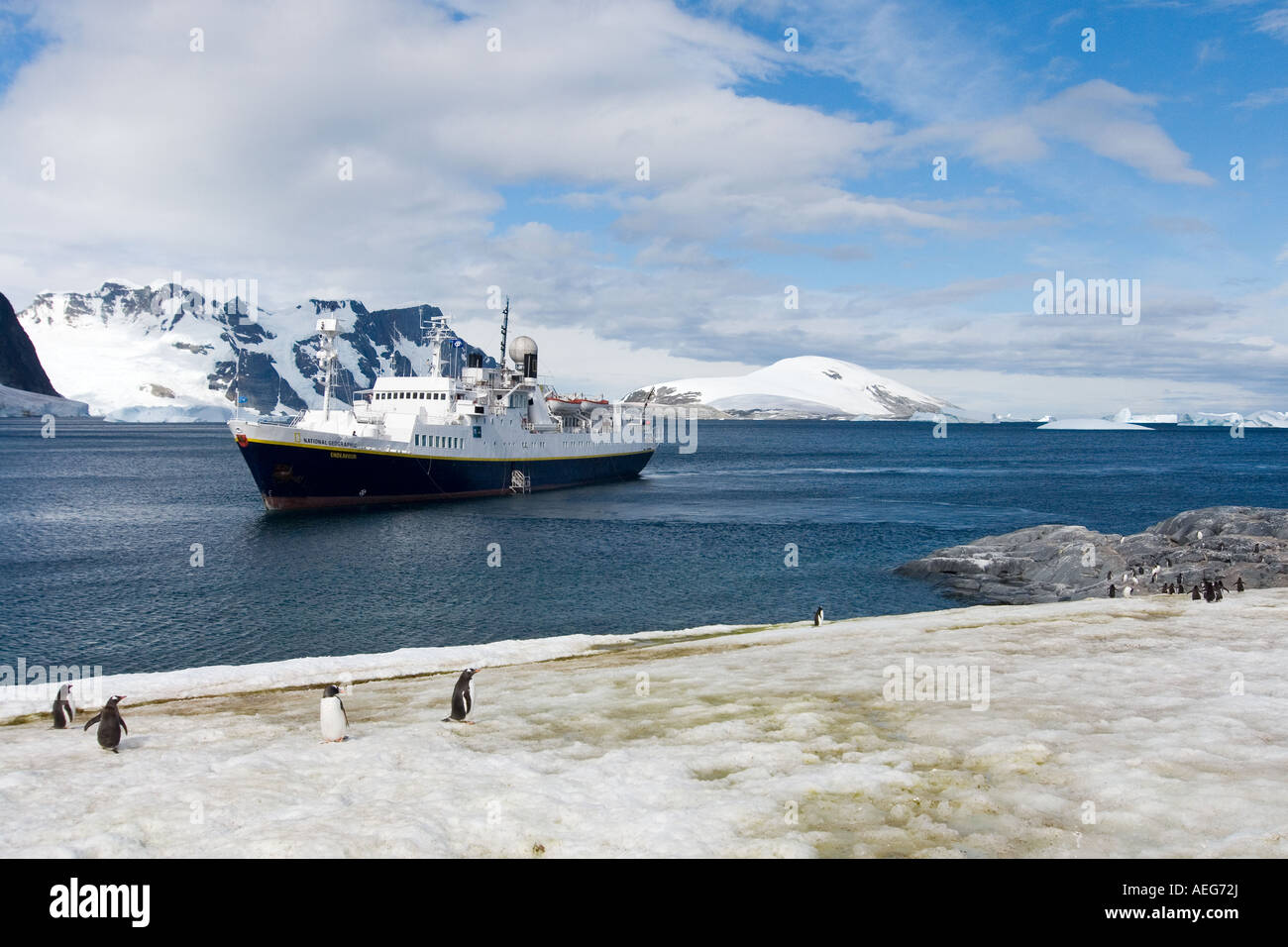 Touristen-Kopf zurück auf einem Kreuzfahrtschiff nach dem Auschecken einer Gentoo-Pinguin-Kolonie entlang der westlichen Antarktischen Halbinsel Stockfoto