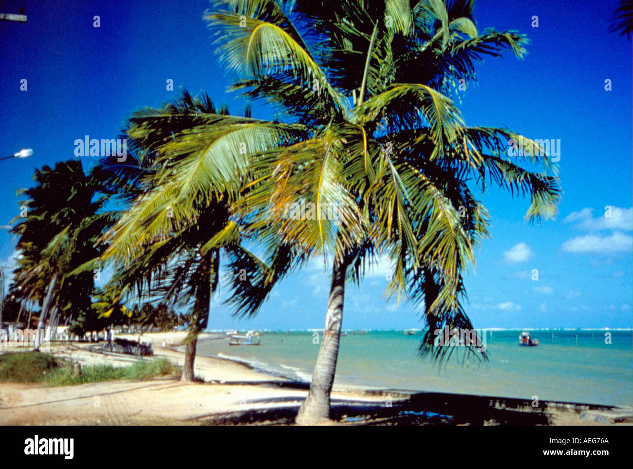 Reisen Sie Brasilien Bahia Strand Tropen Küste Ufer Strand Urlaub Urlaub Kokosnuss Baum Palm Bäume Küstenregion warmen heißen feuchten sunn Stockfoto