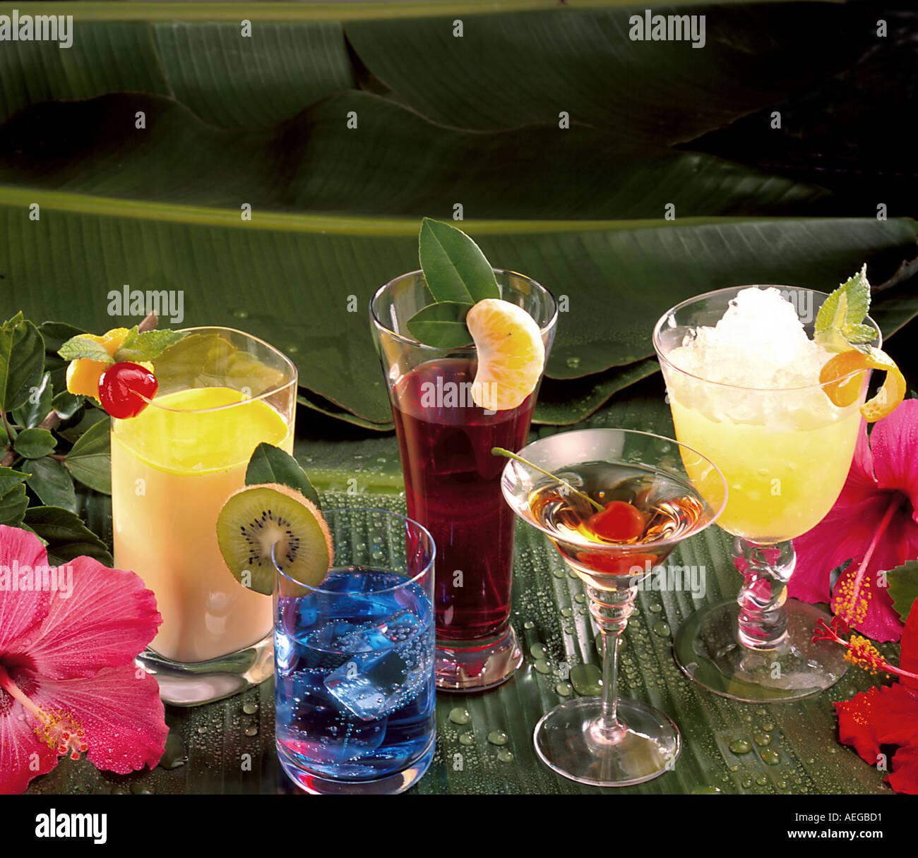 Essen Glas Gläser Getränke Frucht-Cocktail Cocktails garnieren Martini  trinken Getränke alkoholische Alkohol Geist Geister tropischen  Stockfotografie - Alamy