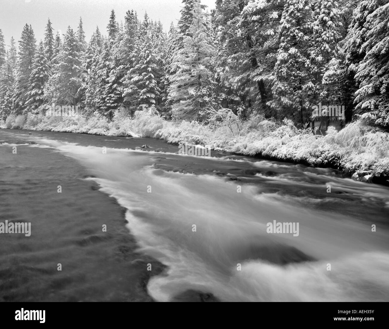 Metolius Fluss mit frischem Schnee Oregon Stockfoto