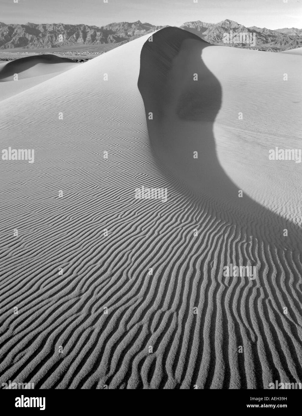 Langes Messer eingefasst Sanddünen Death Valley Nationalpark, Kalifornien Stockfoto