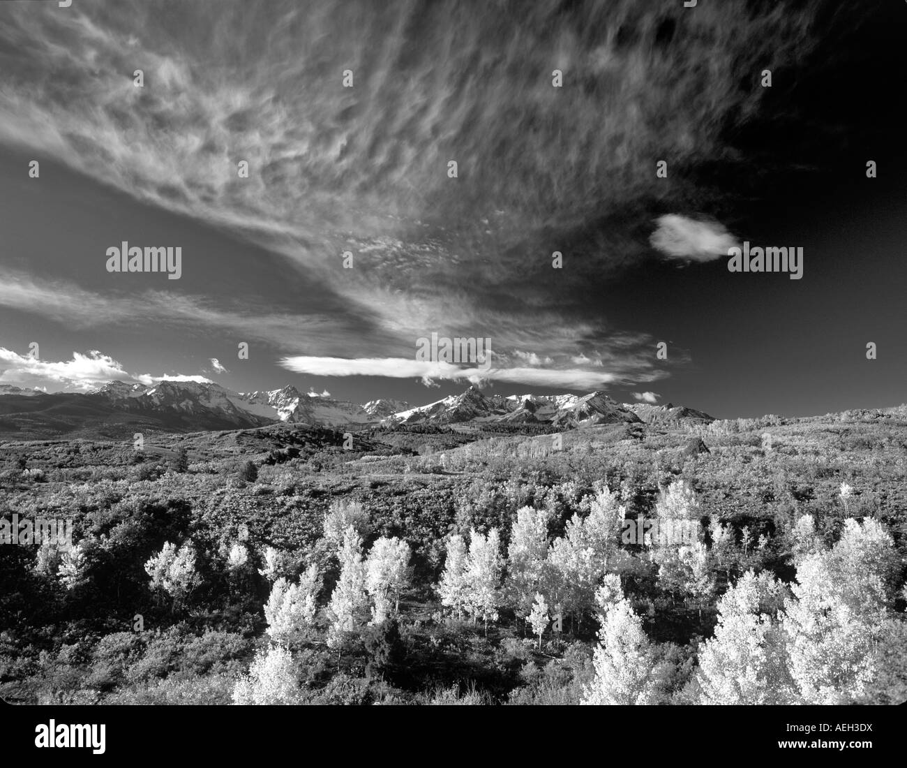 Hohe Wolken mit fallen farbige Espen San Juan Mountains Uncompahgre National Forest Colorado Stockfoto