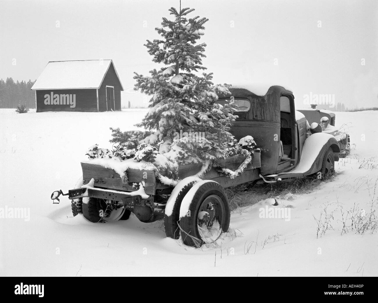 Weihnachts-Dekorationen auf alten LKW mit Schnee in der Nähe von Troja-Oregon Stockfoto