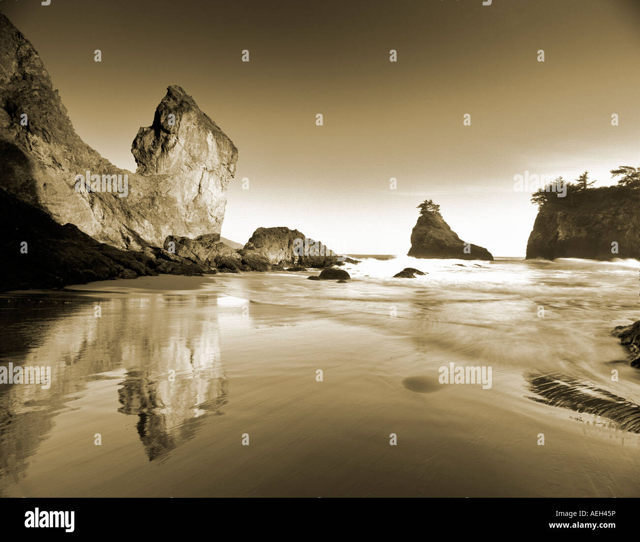 S00070M Tiff Sonnenuntergang am einsamen Strand an Boardman State Park-Oregon Stockfoto