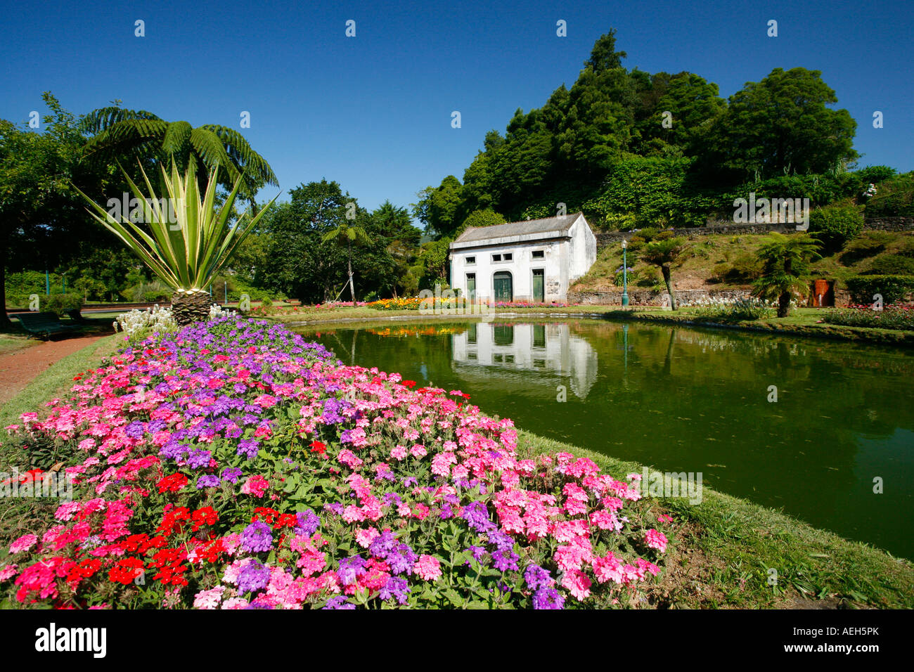 Kleiner Park in Furnas Tal. Insel Sao Miguel, Azoren Stockfoto