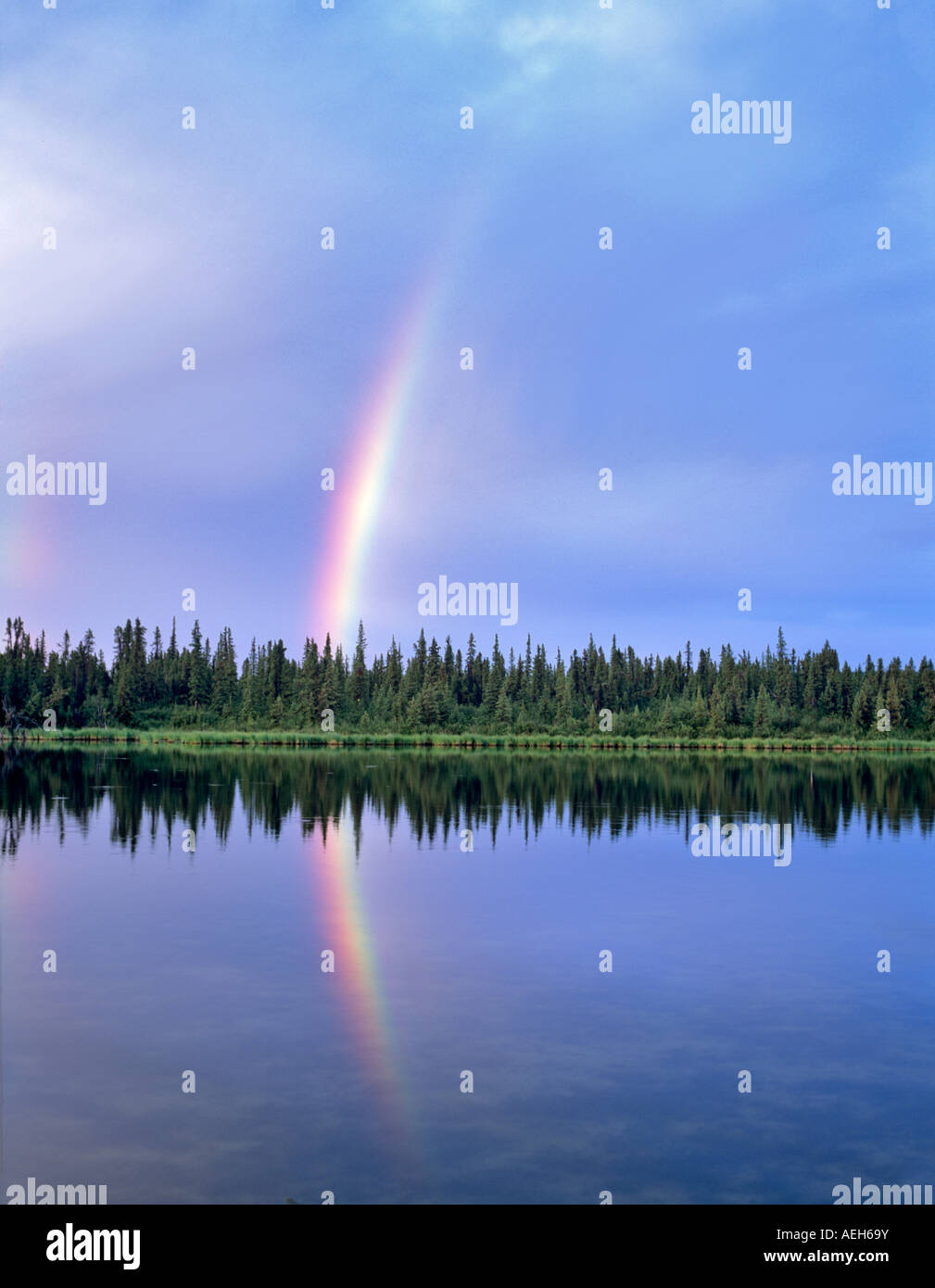 Regenbogen spiegelt sich in den Backwaters von Gulkana River Alaska Stockfoto