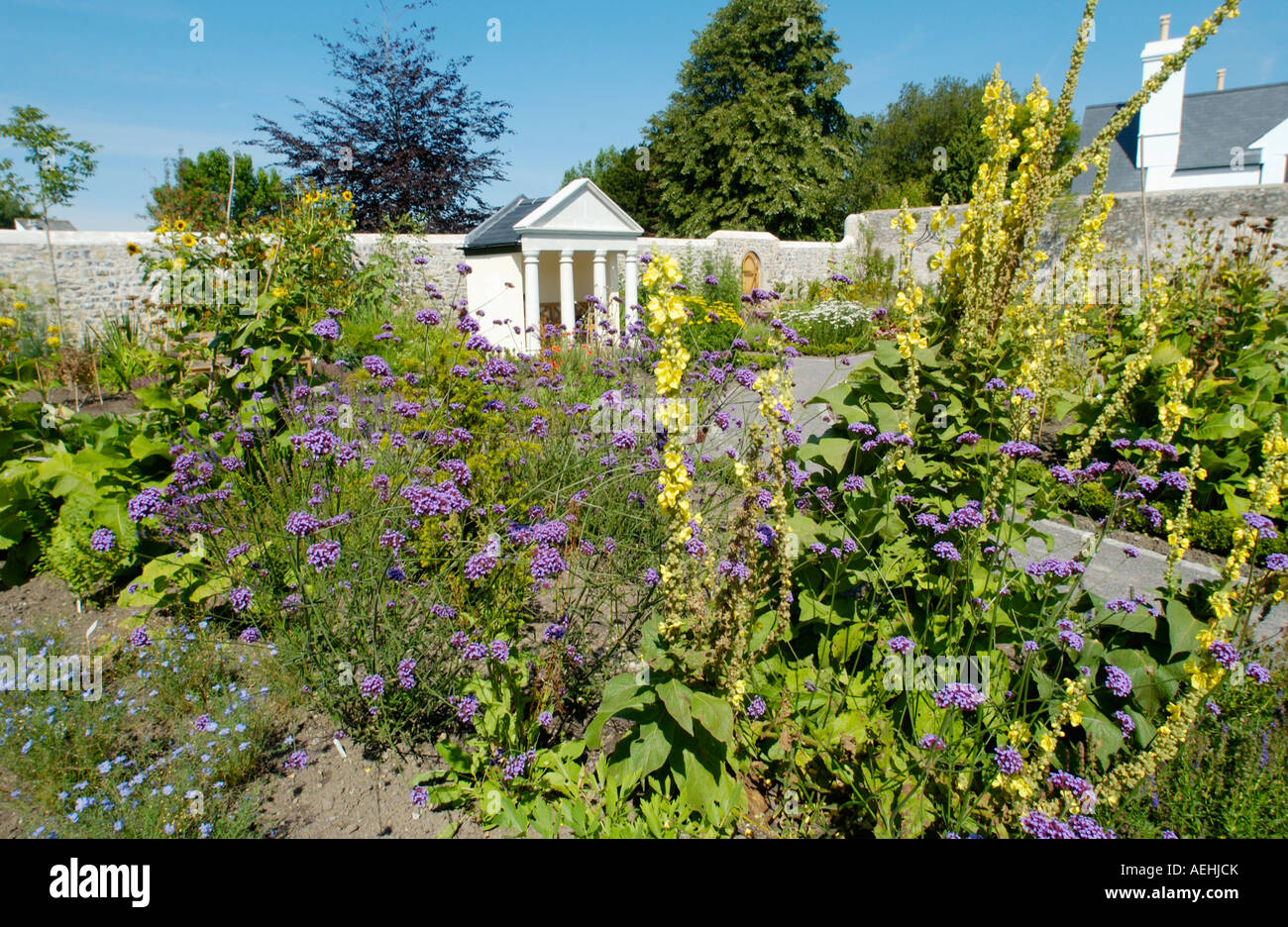 Blick auf die Physic Garden Cowbridge Vale von Glamorgan South Wales UK Stockfoto