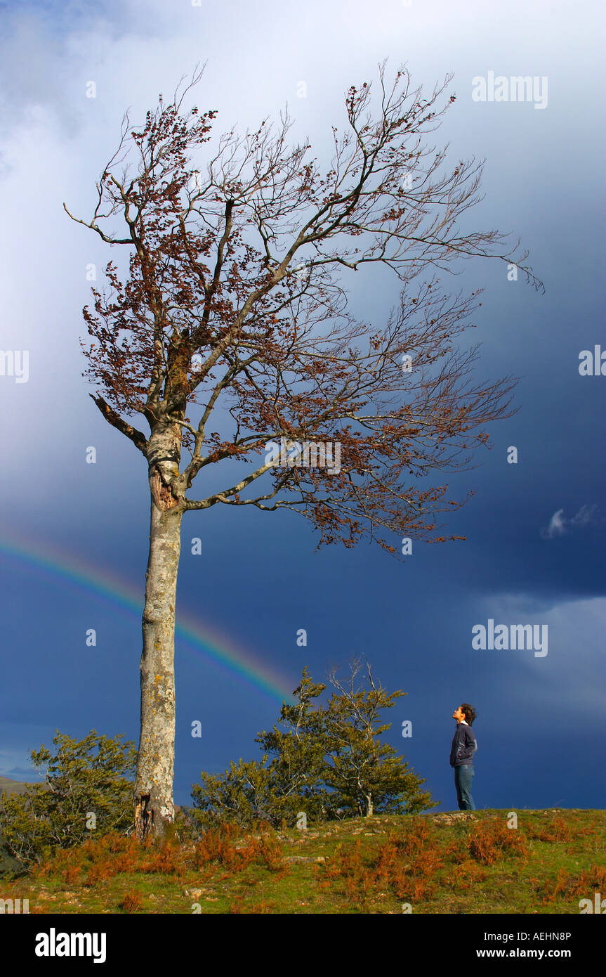 Arco Iris, Haya y Persona Quinto Real Kintoa Navarra España Regenbogen, Buche und Menschen Navarra-Spanien Stockfoto