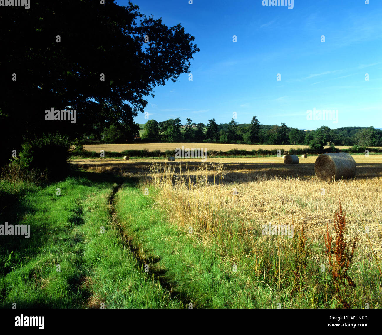 Wanderweg niedriger Breinton Herefordshire england Stockfoto