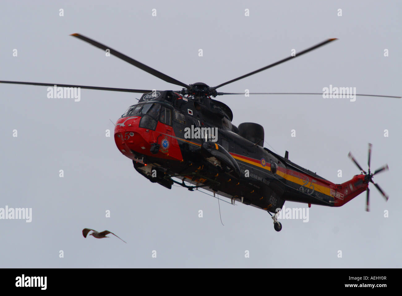 Möwe und belgische Luftwaffe Sea King Hubschrauber in 25. Jahrestag Farben Weston Super Helidays 2007 Stockfoto