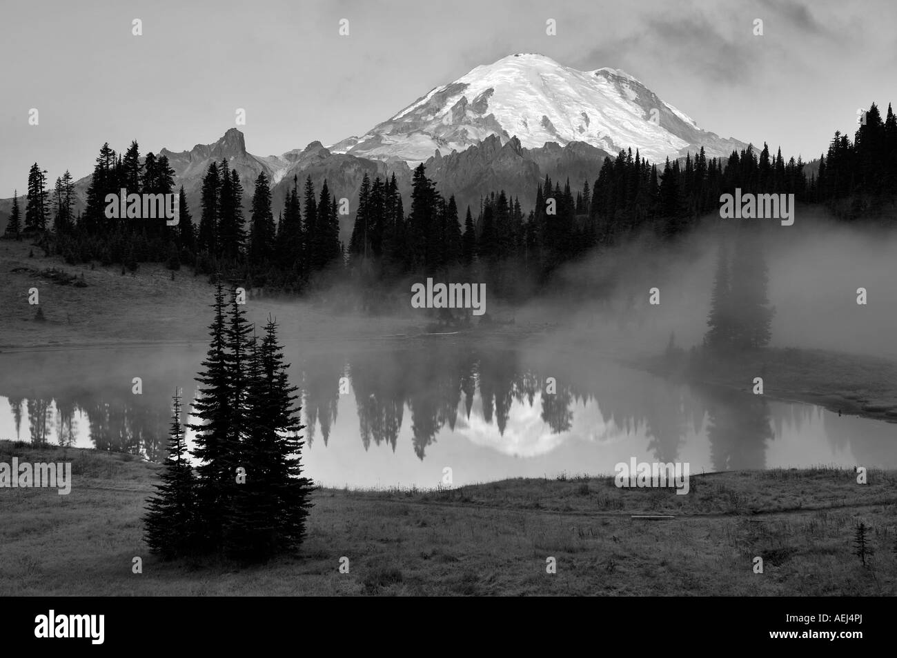 Mt Rainier und Tipsoo See mit Sonnenaufgang und Nebel Mt Rainier Nationalpark Washington Stockfoto