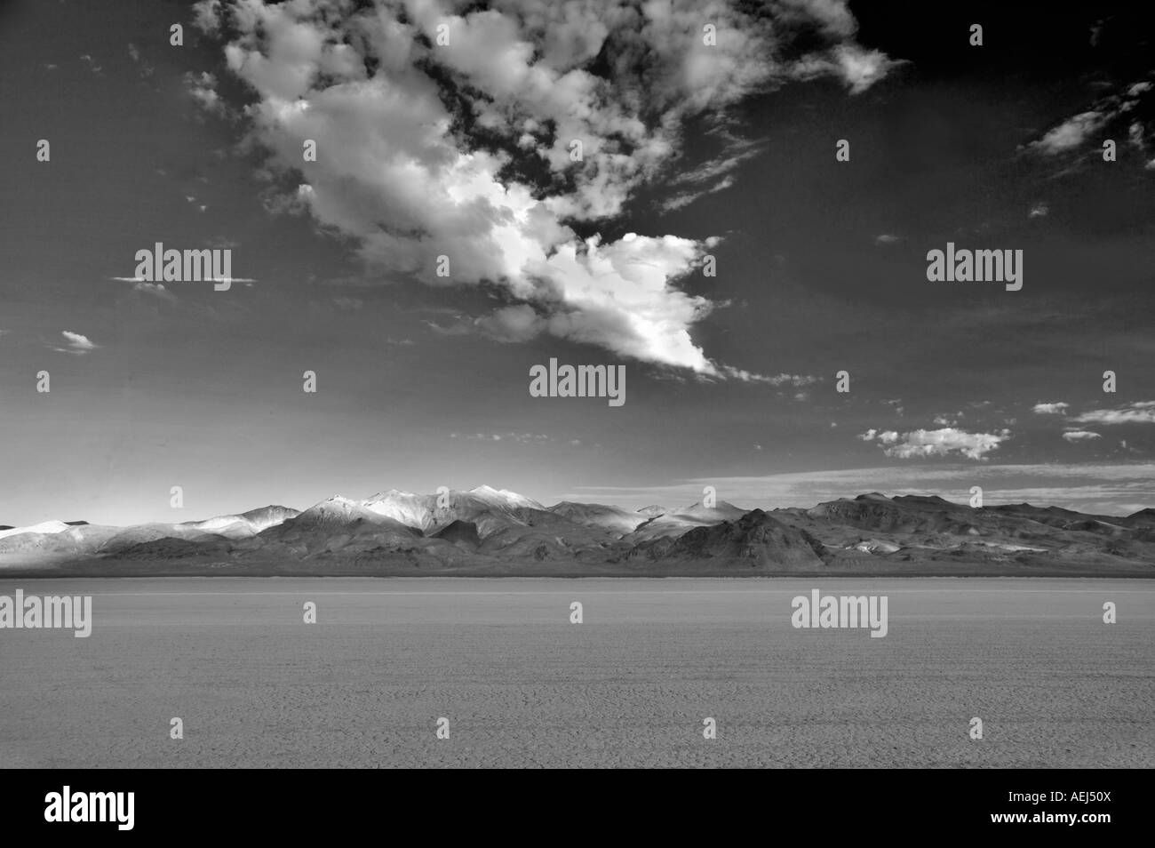 Alkali-Wohnungen der Black Rock Desert National Conservation Area Nevada Stockfoto