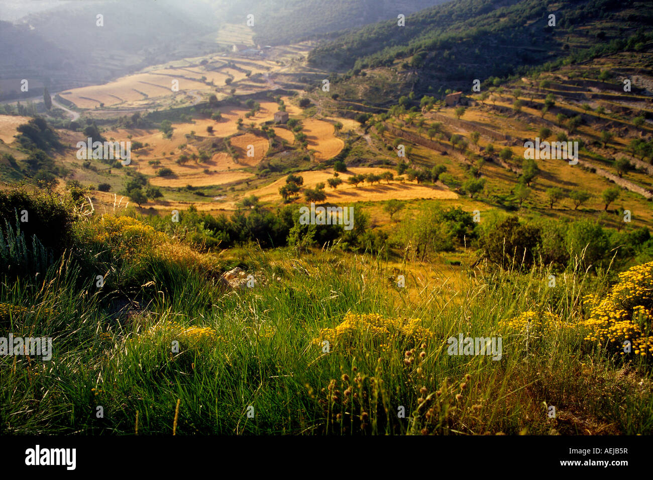 Landschaft bei Morella, Spanien Stockfoto