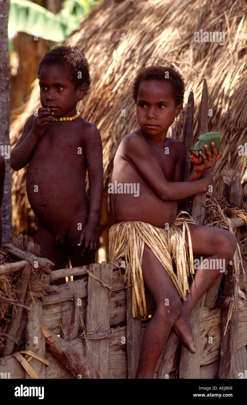 Dani-Kinder in ihrem Dorf Bolokme Baliem Tal Irian Jaya, Indonesien Stockfoto