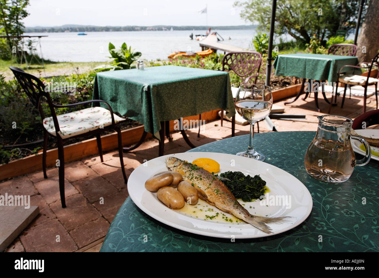 Gemeinsamen Felchen, Starnberger See, Bayern, Deutschland Stockfoto