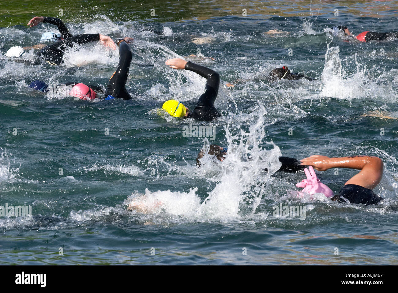 Schwimmer Triathlon Lake Dunstan in der Nähe von Cromwell Central Otago Neuseeland Südinsel Stockfoto