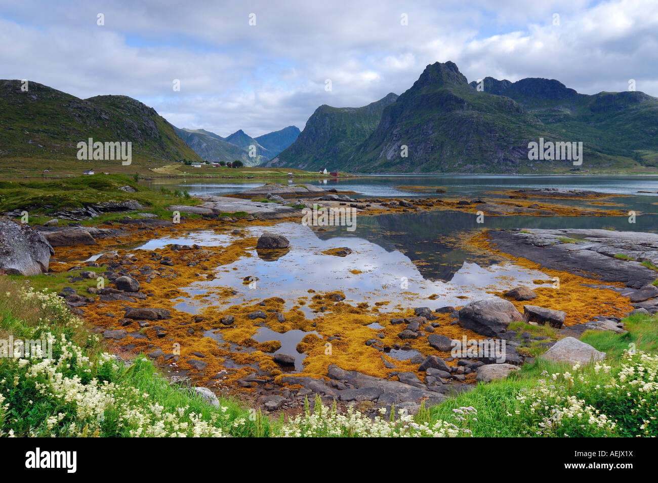 Landschaft in der Nähe von Austvagoy, Lofoten, Norwegen, Scandinavia Stockfoto