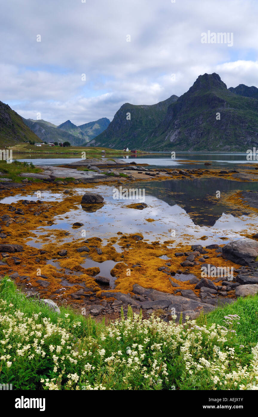 Landschaft in der Nähe von Austvagoy, Lofoten, Norwegen, Scandinavia Stockfoto