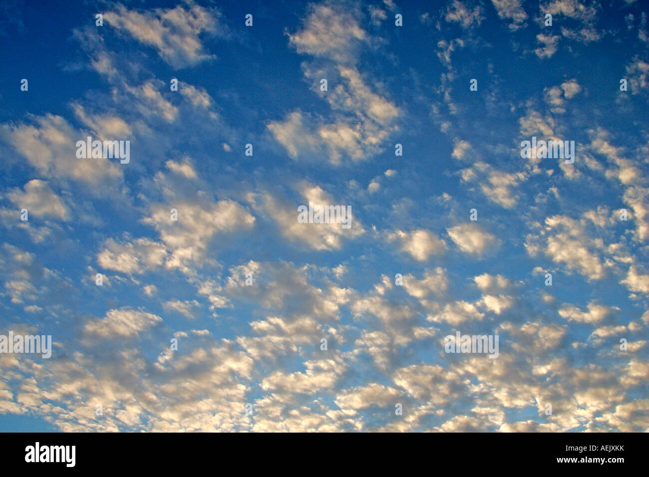 Weiße Wolken am blauen Himmel im Abendlicht Stockfoto