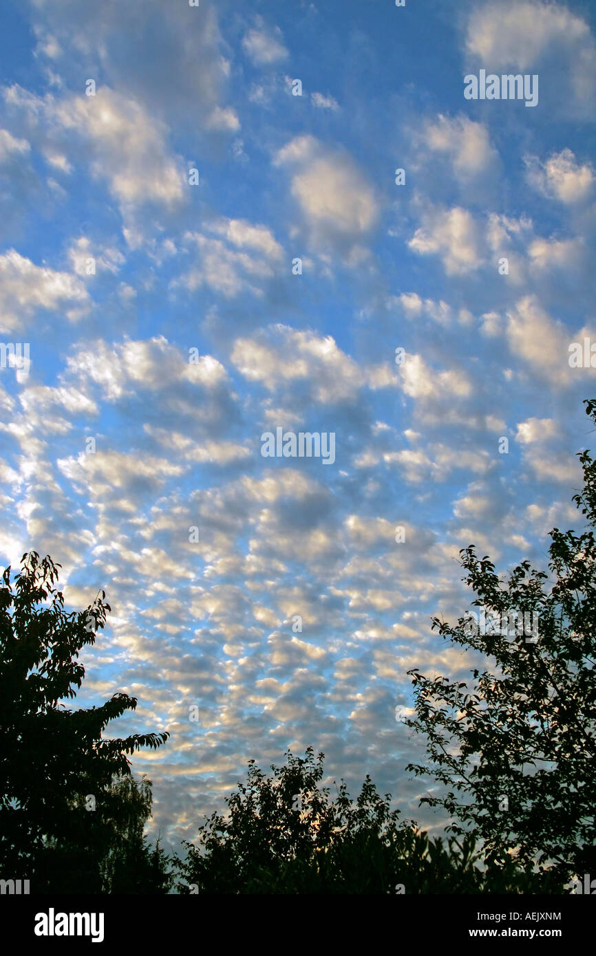 Wolken am blauen Himmel im Abendlicht Stockfoto