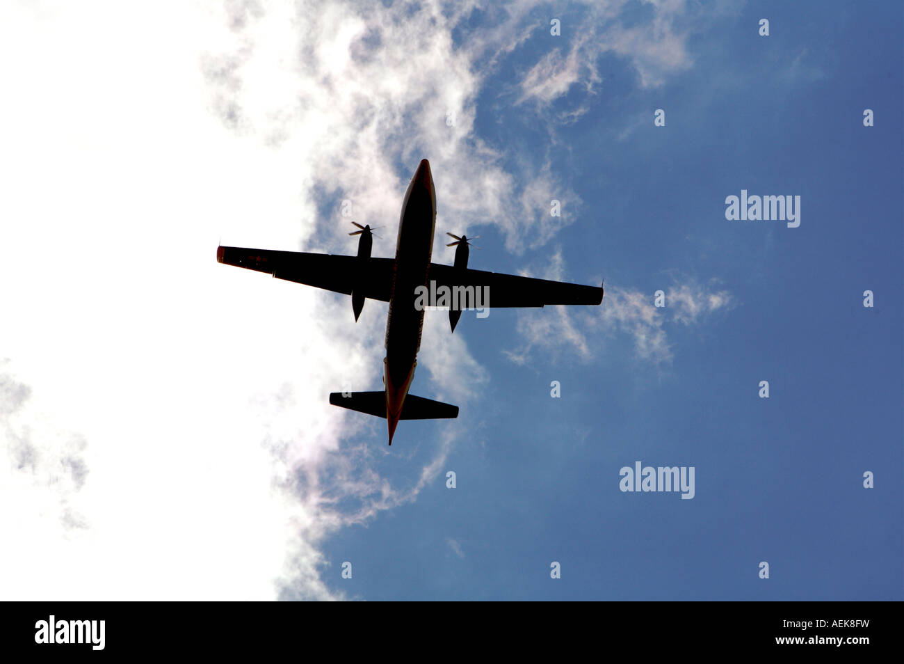 US Army Fallschirm Team Golden Knights Stockfoto